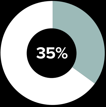 pie chart represents 35%